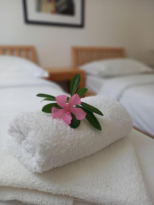 Rosa Mirca Apartment Mirca (Brac)