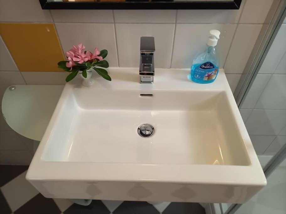 Rosa Mirca Apartment Mirca (Brac)